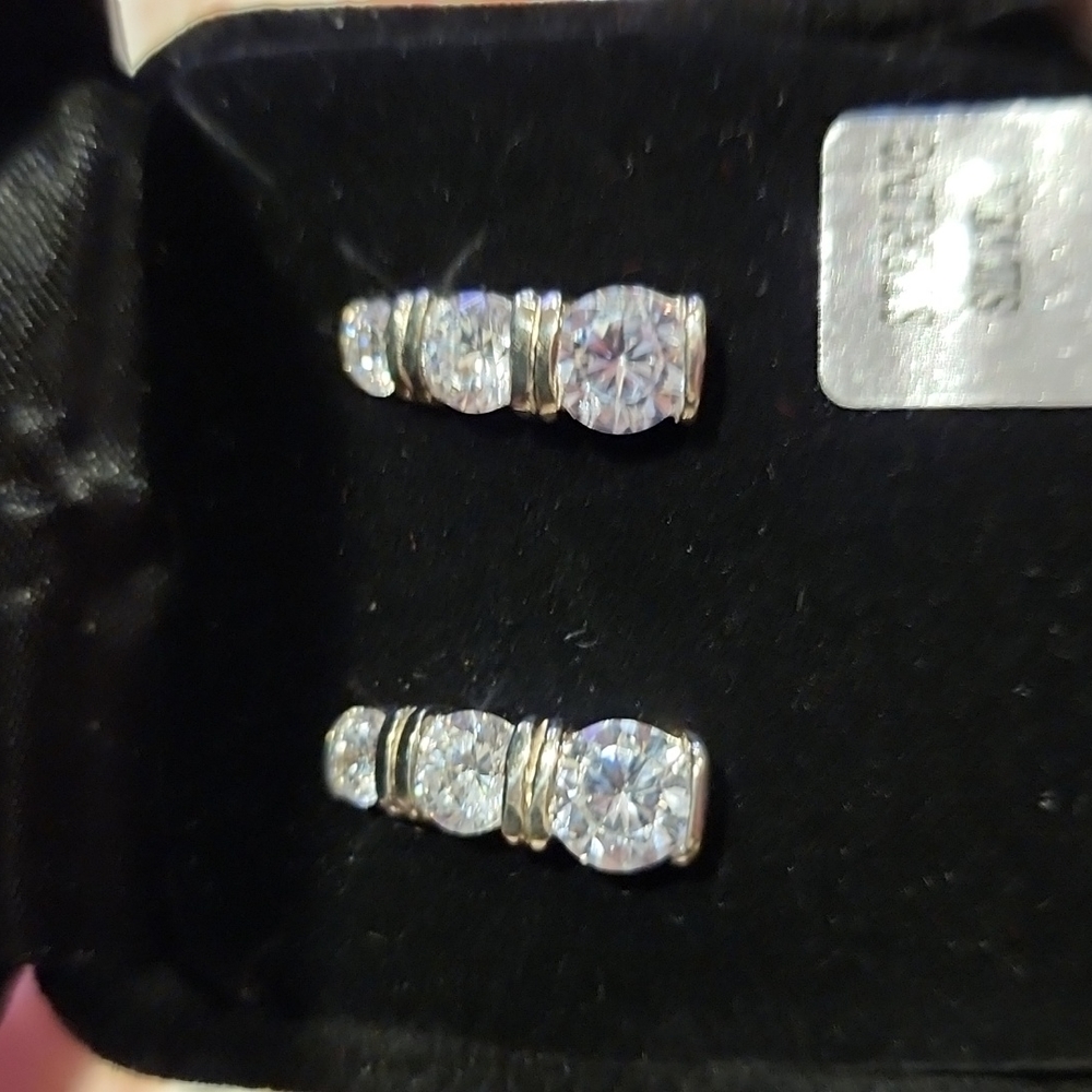 Sterling Silver Earrings - ⭐️NWT!⭐️